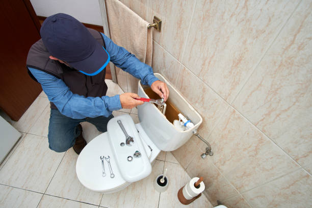 Best Local Plumber Services  in American Falls, ID