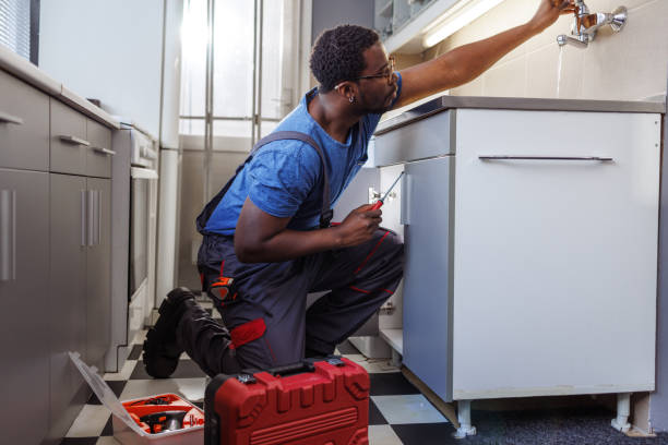Best Plumbing Services Near Me  in American Falls, ID